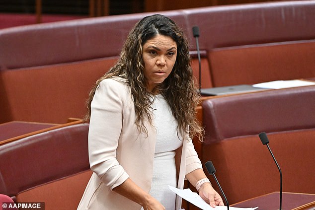 Liberal Northern Territory Senator Jacinta Price has publicly opposed Voice