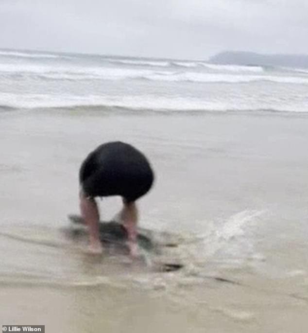 Paul Myles is depicted picking up the beached shark, in a move he hopes will earn him 'brownie points' in any future shark encounters.