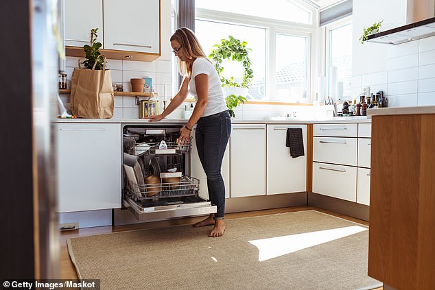 Many said they thought it was a great cleaning idea as we often use too many items like dishwasher tablets and washing powder (stock image)