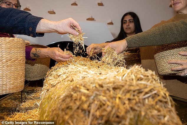 Guests place wood chips and straw in a covered dummy near the ship before leaving the body to decompose for 30-31 days.