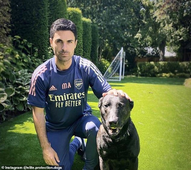 Arsenal boss Mikel Arteta is among soccer stars who bought guard dogs to protect their home.