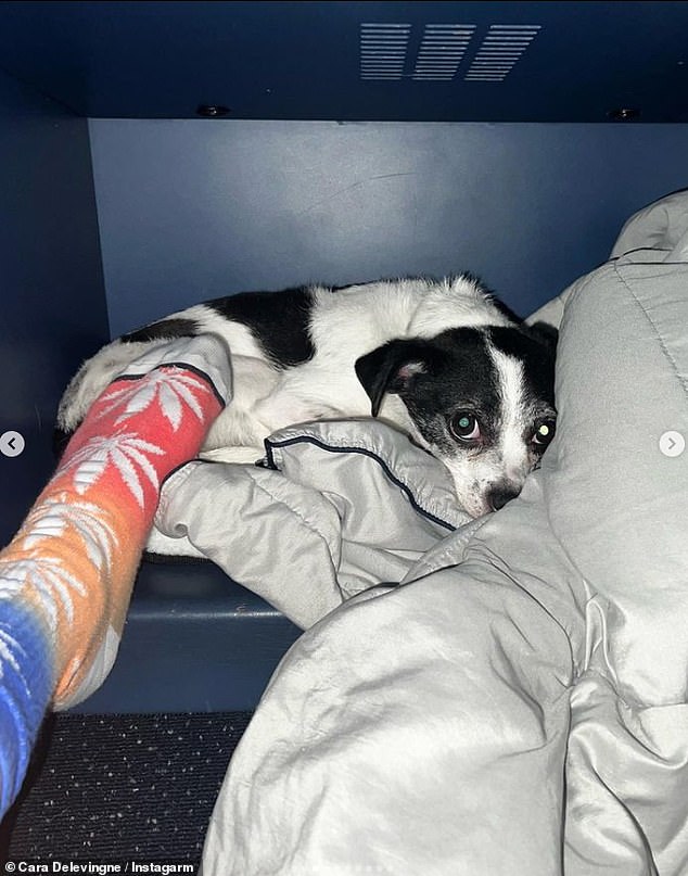 Flipping through: A third image was simply her foot positioned next to her dog, while wearing a sock that had a cannabis leaf motif printed across the length.