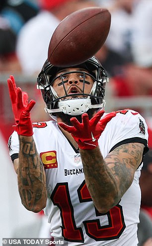 Tampa Bay Buccaneers wide receiver Mike Evans (13) catches a touchdown pass against the Carolina Panthers in the second quarter at Raymond James Stadium.