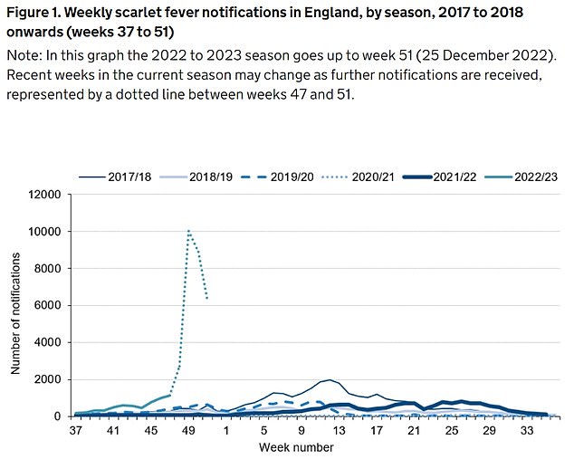 And cases of scarlet fever, an infection cause by Strep A bacteria, are also skyrocketing. UKHSA data shows nearly 34,000 cases had been in England by December 25 (shown in solid blue line). The figure is seven-times higher than levels in the last bad year, 2017/18
