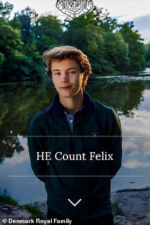 Count Felix, depicted on the home website