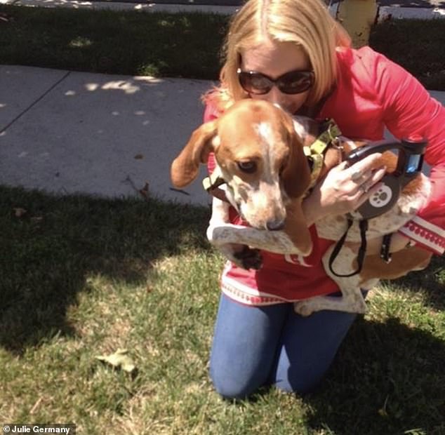 The day Violet was brought home from the lab in August 2014. Violet was so afraid of grass that she did not want Germany to put her down and kept folding her legs into herself to keep from touching it