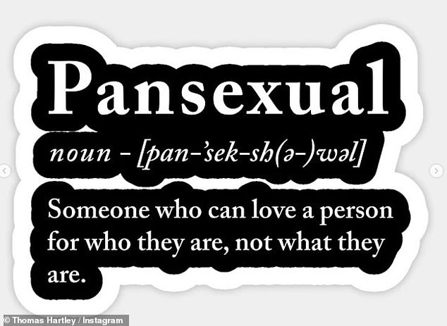 Definition: Added pictures of pansexual definitions, saying: 'Someone who can love a person for who they are, not who they are'