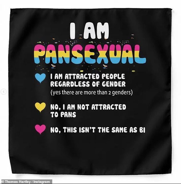 Clarification: Another said: 'I'm pansexual.  I am attracted to people regardless of gender (yes, there are more than 2 genders).  No, I'm not into pans.  No, this is not the same as bi'