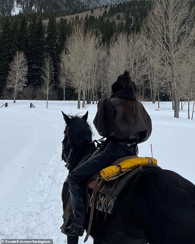 Horse Mother: It's unclear exactly how many horses Jenner has in the stable, as she mentioned earlier that she owns steeds named Dylan, Belle, Little Joe, and Megan.