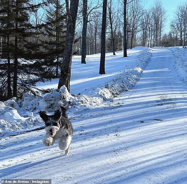 Winter break: During the winter, she spent time relaxing with her dogs and visiting historic sites, like the Half Covered Bridge in Woodstock