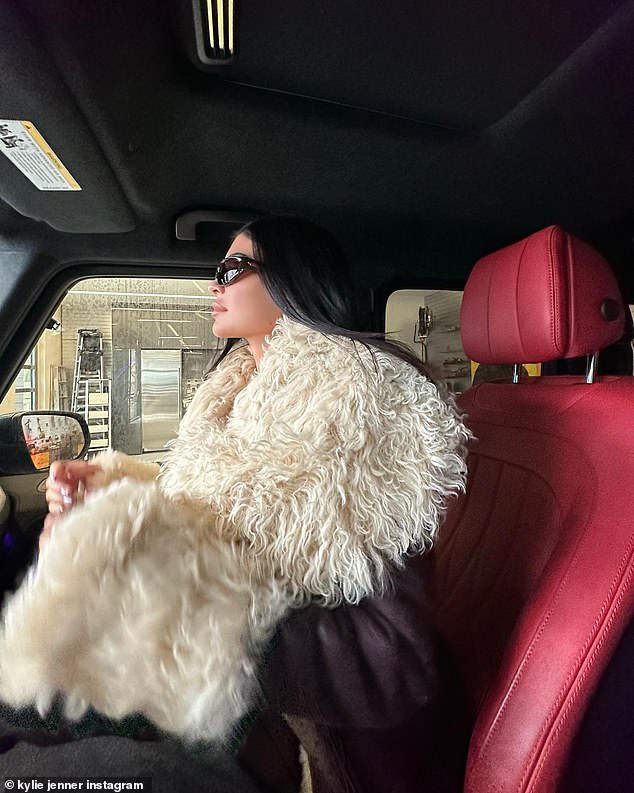 Glamorous: She dressed in another furry coat in an instant that showed her looking glamorous while sitting in a car