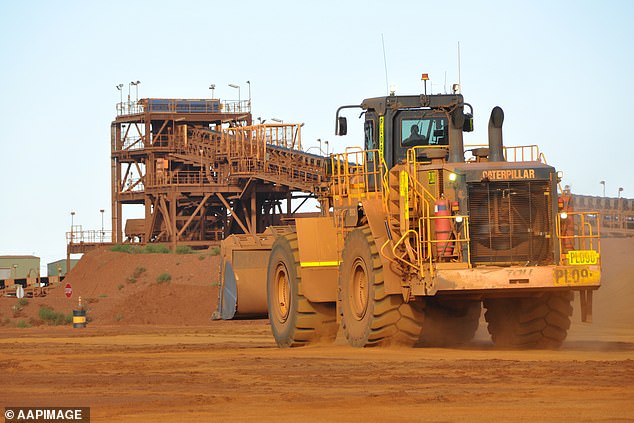 Mining companies have been reporting record profits over the past year as demand for resources remains strong (file image)