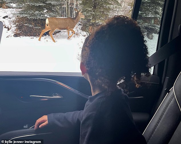 Watch!  Jenner shared a snapshot of her four-year-old daughter Stormi looking out the window at a deer hopping across the snow.