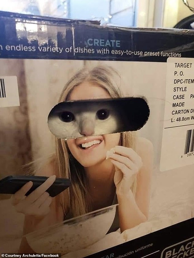 One striking photo shows a cat peering out of a box and replacing its eyes with those of the girl in the ad.