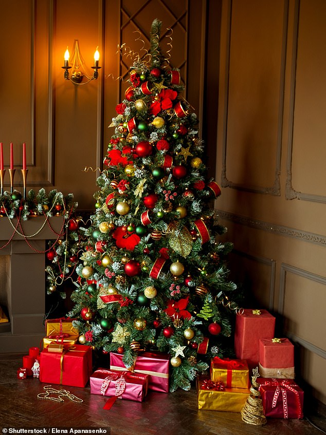 Food writers and chefs have revealed how you can breathe new life into your Christmas tree after December (file image)