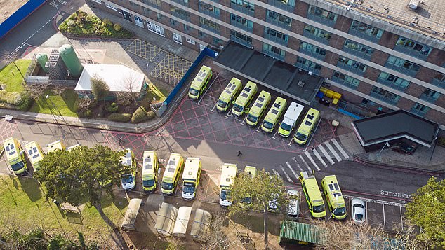 Pictured: Ambulances wait outside Portsmouth Hospital due to shortages of rooms as patients wait inside the vehicles for hours