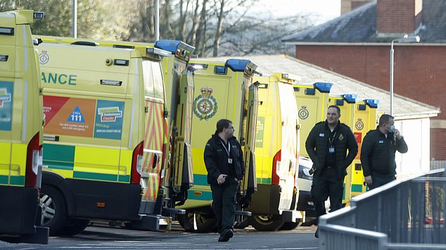 Pictured: Ambulances wait outside Portsmouth Hospital due to shortages of rooms as patients wait inside the vehicles for hours