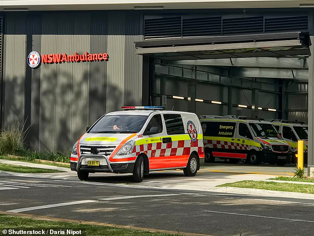 Members of the public performed CPR until NSW Ambulance paramedics arrived, but the man could not be revived.  Pictured is a file image of a NSW ambulance