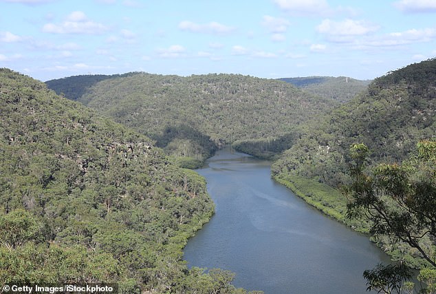 The Great Escape: The Neverfail Bay block, which last sold for $575,000 in 1999, was bought by the Emdurs for $1 million.  In the photo: Berowra Waters