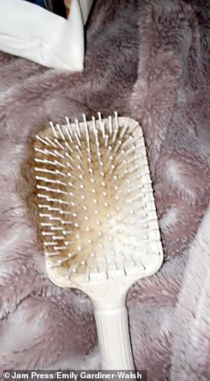 Emily's stray hair on her brush