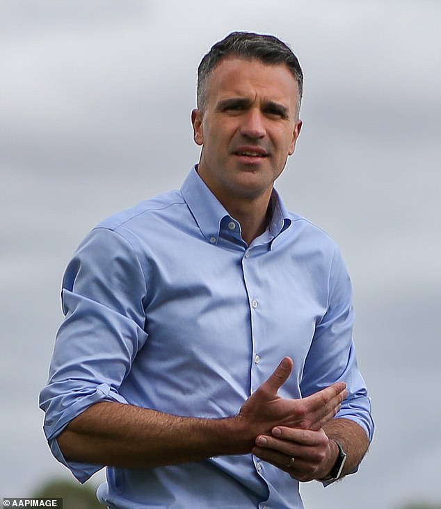 South Australian Prime Minister Peter Malinauskas (pictured) was alarmed when he heard about what had happened in Port Augusta.