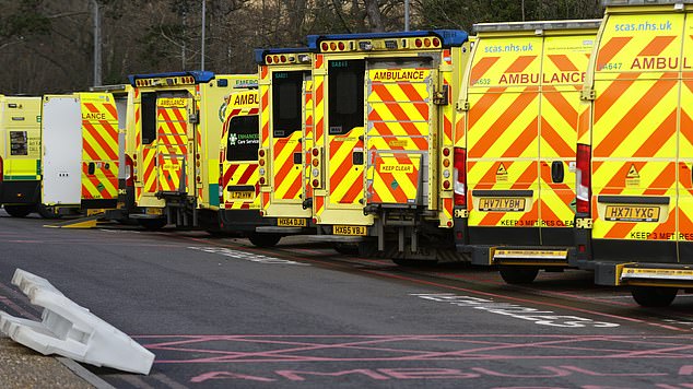 Ambulances wait outside Portsmouth Hospital due to shortages of rooms