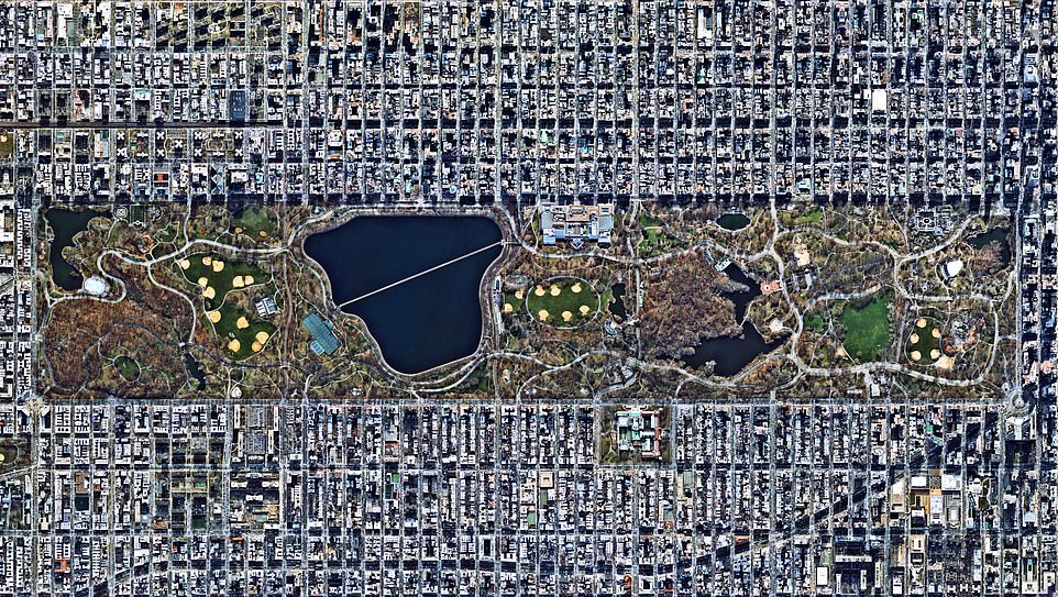 Some of the most enduring images include Tonga's terrifying volcano and Florida's devastating Hurricane Ian.  Pictured: Central Park in spring