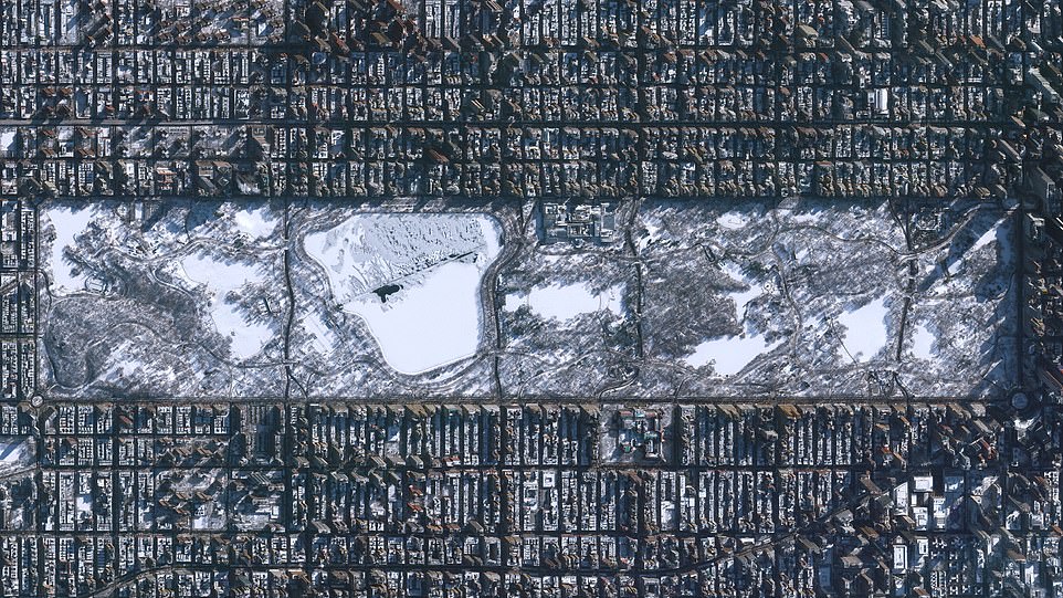 While unknown colonies of penguins in Antarctica and herring tufts spawn in the Pacific Ocean.  Pictured: Central Park in winter