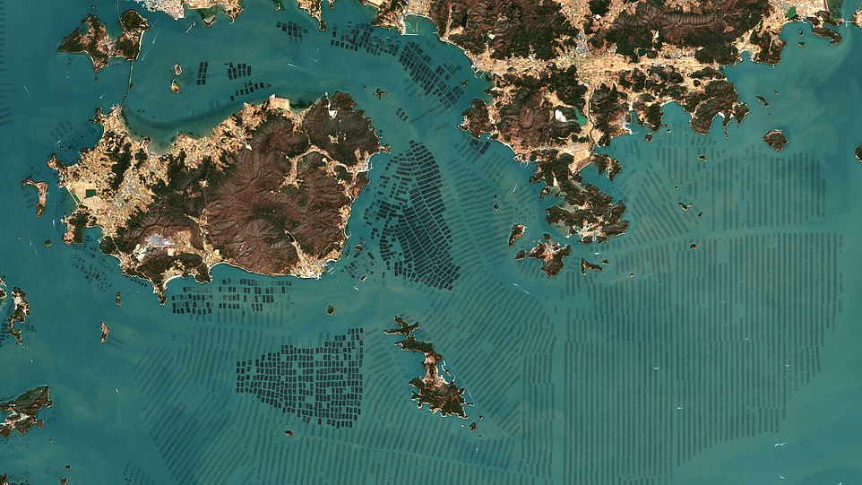 The geometric formation of South Korea's seaweed farms