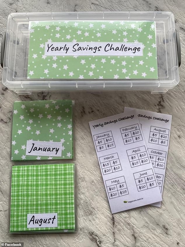 Other Australians shared the savings approaches they will use in 2023 to save money, including the 'Envelope Challenge' and the 'Annual Savings Challenge' (pictured)