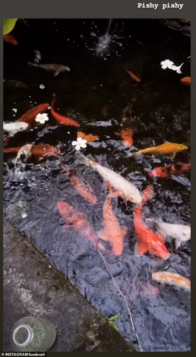 Leong also shared a photo of a pond full of Koi fish.