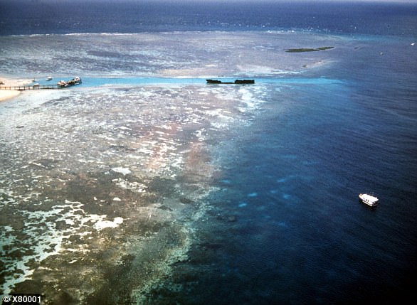 An aerial view of Australia's Great Barrier Reef. The corals of the Great Barrier Reef have undergone two successive bleaching events, in 2016 and earlier this year, raising experts' concerns about the capacity for reefs to survive under global-warming