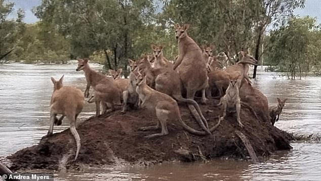 The Western Australian government has declared an emergency situation and warned residents to evacuate immediately.