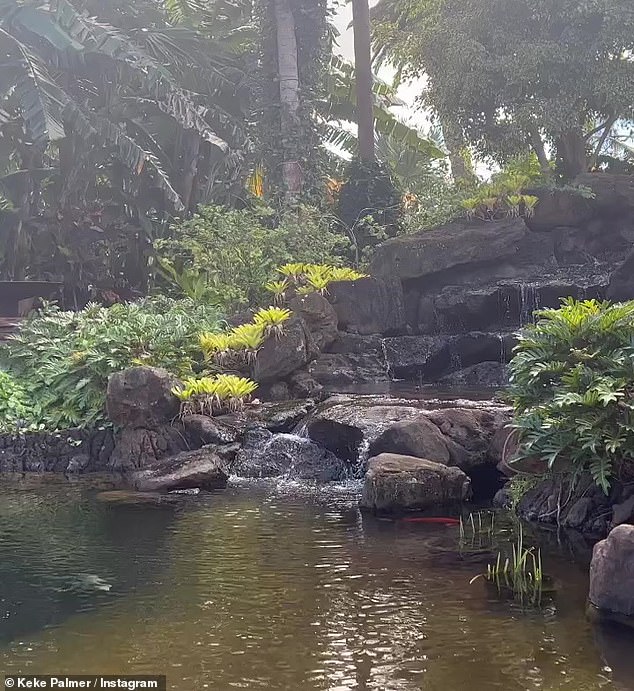 Tranquil: She also shared a few different clips of relaxing moments in nature, like a waterfall and goldfish swimming peacefully.