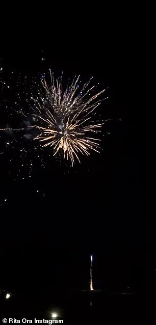 The couple was seen watching a fireworks display to ring in the new year.