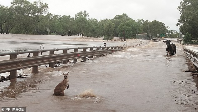 Record flooding has already inundated the Kimberley region of Western Australia (pictured), as flood warnings remain in effect in almost all states.