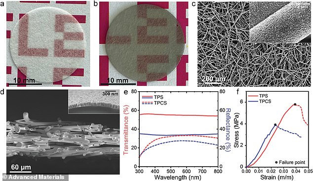 Image from the team's paper. C) and D) show scanning electron micrographs of the transparent porous conductive substrate's morphology