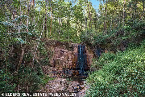 The nature beyond the 142 acre lot has a series of waterfalls, grasslands and gently flowing streams.