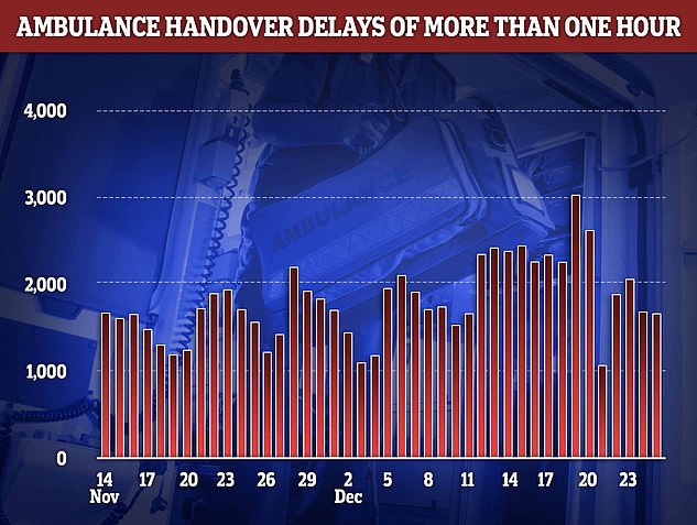 Ambulance handover delays peaked on December 19 with more than 3,000 patients forced to wait over an hour in the back of an emergency vehicle, unable to be offloaded to a hospital bed