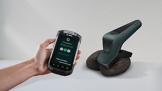 The device is ready to work with avocados, tomatoes, strawberries, and blueberries. By the end of 2023, the company is extending it to grapes, bananas, mangoes and raspberries. Pictured, a handheld version of the scanner