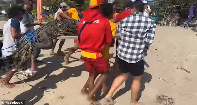 Lifeguards dressed in red and yellow can be seen leading the group of locals along the sand as the crocodile makes its way out of the water.