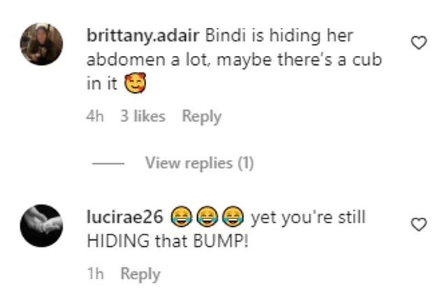 Her fans immediately took to the comments section to point out that Bindi was once again hiding her stomach in the photo.