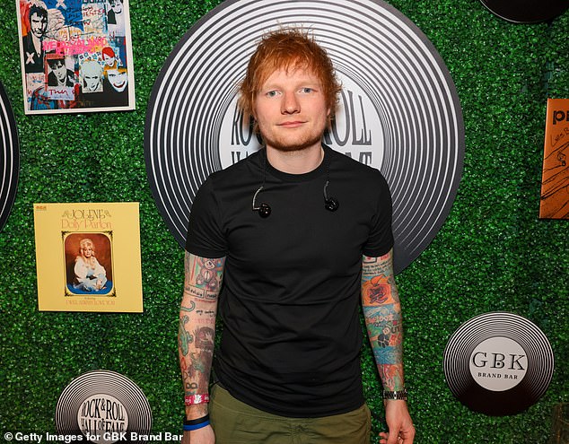 Cryptic: The singer sparked romance rumors with Ed in 2013, but later speculations began that Ellie betrayed Ed after he wrote Don't about an ex cheating on him