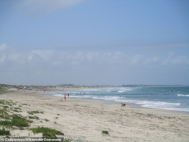 Mr Race's body was washed up on a sandbank after the huge wave swept him under the water, breaking his neck and damaging his spinal cord (Secret Harbour, Perth file image)