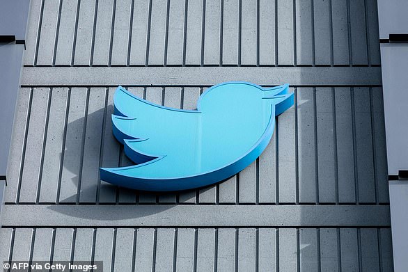 Twitter laid off half its workforce on teams ranging from communications and content curation to product and engineering.