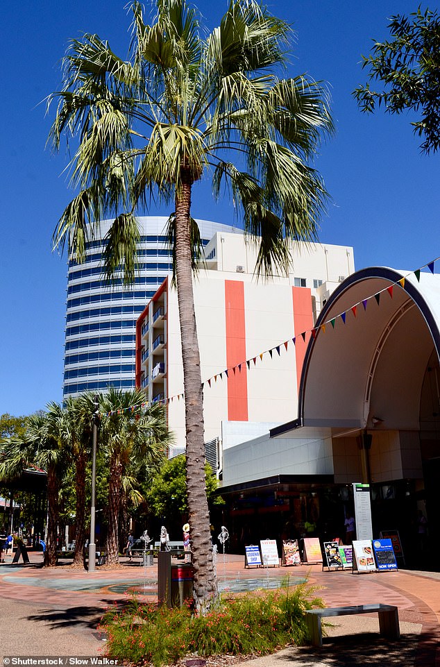 Shop owners in central Darwin's Smith Street shopping center have been crying out for help from the government and authorities amid a dramatic rise in crime (archive image of Smith Street shopping center pictured)