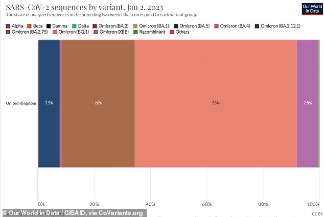 Data from GISAID and CoVariants.org suggests that XBB.1.5 was responsible for just under 8 per cent of cases in the UK in the two weeks to January 2.