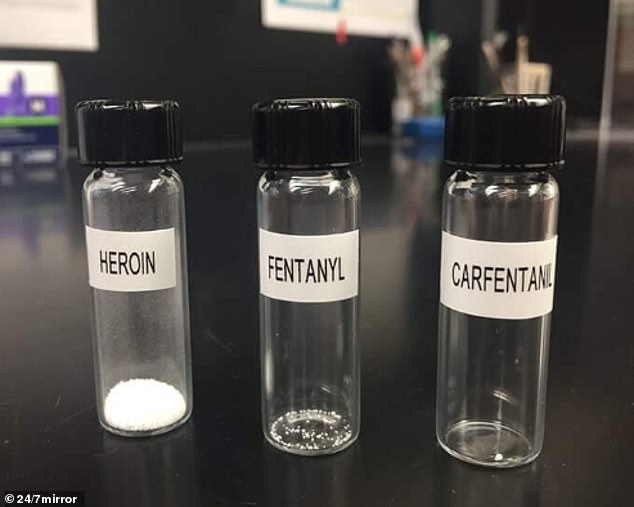 This chilling shot shows the fatal doses of various drugs, and also demonstrates the incredible dangers of fentanyl, the powerful synthetic opioid of growing concern in the US.