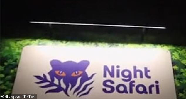 Video shot at Mandai Night Safari by a group known as 4funguys on social media was uploaded to TikTok on October 26 and has recently resurfaced on the video-sharing platform.