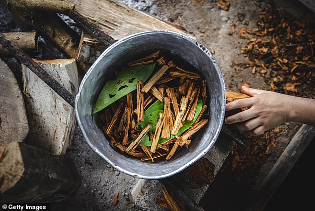 Ayahuasca is a South American psychoactive concoction used in shamanic spiritual medicine.